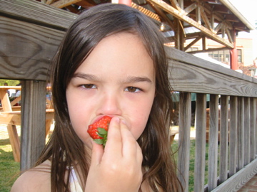 Eating strawberries at the Carrboro Farmers Market